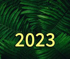 2023